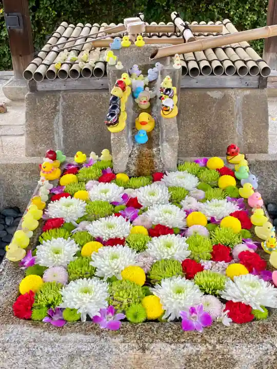 くろ谷 金戒光明寺(京都府)