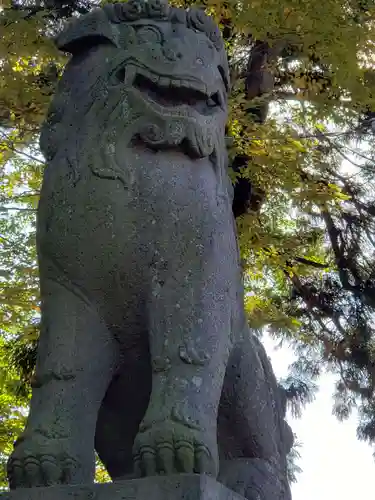 笹津神社の狛犬