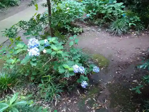 下野 星宮神社の自然