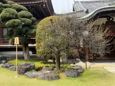 金藏院の{uncategorized: "未分類", other: "その他", undefined: "問題あり", building: "その他建物", grave: "お墓", sacred_gate: "鳥居", guardian: "狛犬", statue: "像", buddha: "仏像", history: "歴史", nature: "自然", garden: "庭園", animal: "動物", pagoda: "塔", temizu: "手水舎", mountain_gate: "山門・神門", sanctuary: "本殿・本堂", subordinate: "末社・摂社", art: "芸術", scenery: "景色", jizo: "地蔵", ema: "絵馬", goshuin: "御朱印", omikuji: "おみくじ", items: "授与品その他", amulet: "お守り", goshuincho: "御朱印帳", eats: "食事", festival: "お祭り", votive_dance: "神楽", shichigosan: "七五三参", wedding: "結婚式", experience: "体験その他", initially: "初詣", around: "周辺", anti_infection: "感染症対策"}