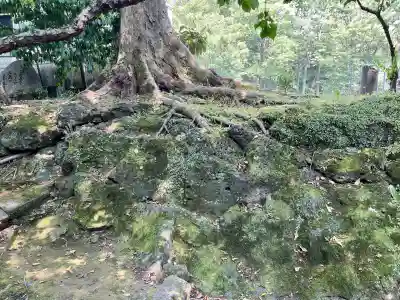 浅間神社(静岡県)