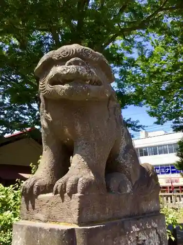 日野八坂神社の狛犬