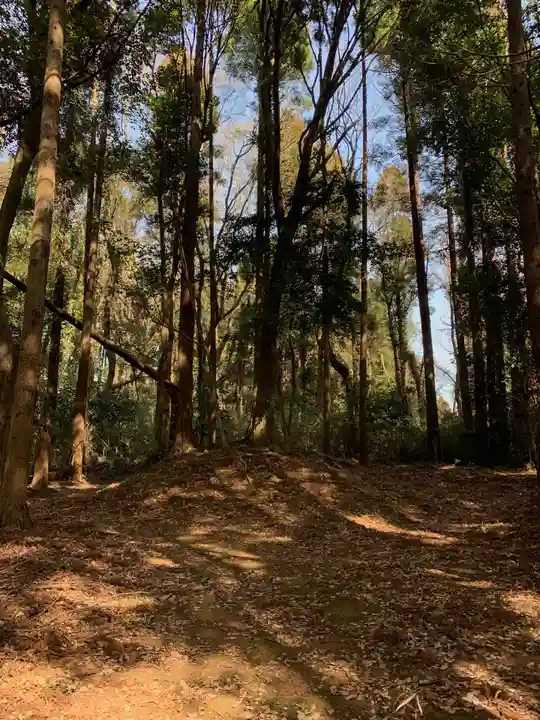 大日天子(千葉県)