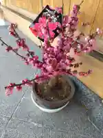 東光寺のその他建物