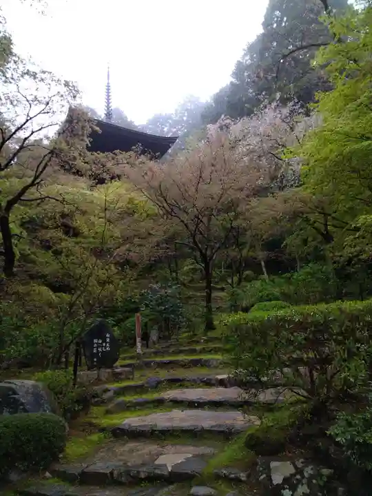 金剛輪寺(滋賀県)