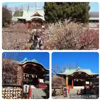 亀戸天神社(東京都)