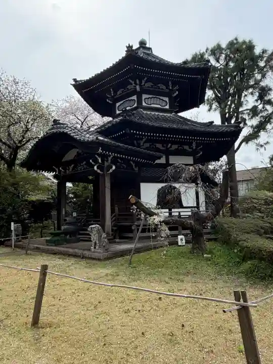 観音寺(世田谷山観音寺)の{uncategorized: "未分類", other: "その他", undefined: "問題あり", building: "その他建物", grave: "お墓", sacred_gate: "鳥居", guardian: "狛犬", statue: "像", buddha: "仏像", history: "歴史", nature: "自然", garden: "庭園", animal: "動物", pagoda: "塔", temizu: "手水舎", mountain_gate: "山門・神門", sanctuary: "本殿・本堂", subordinate: "末社・摂社", art: "芸術", scenery: "景色", jizo: "地蔵", ema: "絵馬", goshuin: "御朱印", omikuji: "おみくじ", items: "授与品その他", amulet: "お守り", goshuincho: "御朱印帳", eats: "食事", festival: "お祭り", votive_dance: "神楽", shichigosan: "七五三参", wedding: "結婚式", experience: "体験その他", initially: "初詣", around: "周辺", anti_infection: "感染症対策"}