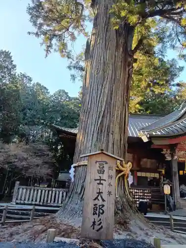 北口本宮冨士浅間神社(山梨県)