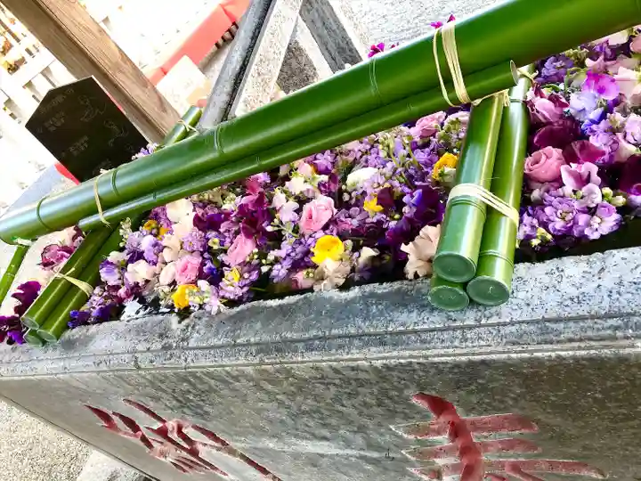 草加神社(埼玉県)