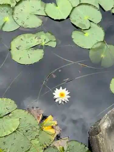 常楽寺(兵庫県)
