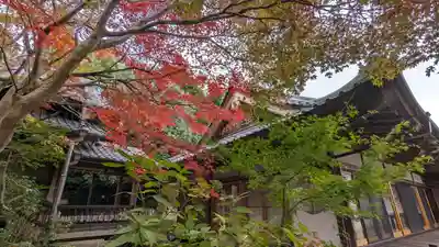 勝持寺（花の寺）(京都府)