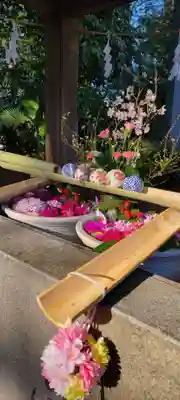 狭山八幡神社(埼玉県)