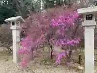 廣田神社(兵庫県)