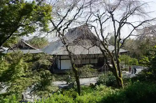 天龍寺の本殿・本堂