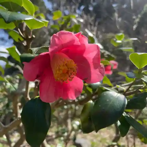 光則寺(神奈川県)