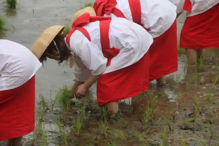 高屋敷稲荷神社のお祭り