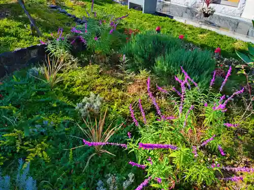 寿量山　速成寺(奈良県)