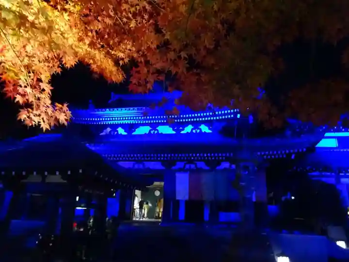 長谷寺の本殿・本堂