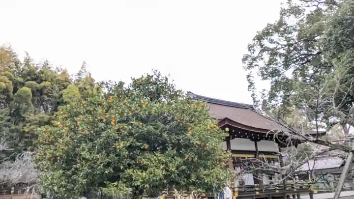 平野神社(京都府)