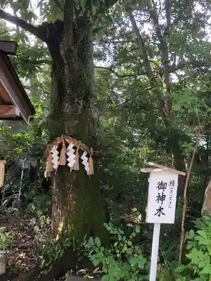 須天熊野神社(石川県)