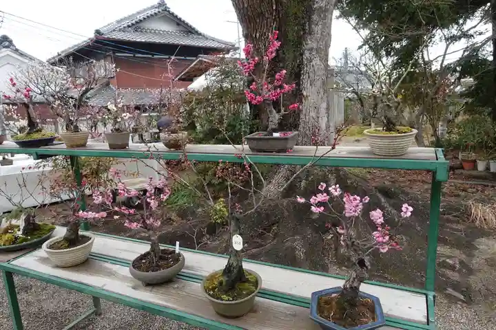 菅原天満宮(菅原神社)の庭園