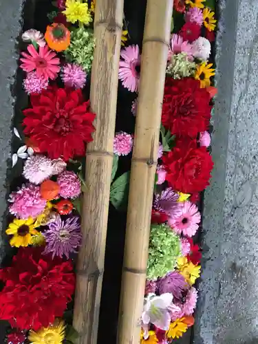 札幌護國神社の手水