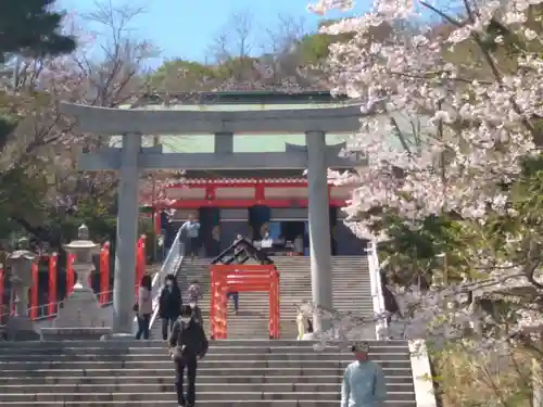住吉神社の鳥居