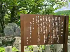 世尊寺(奈良県)