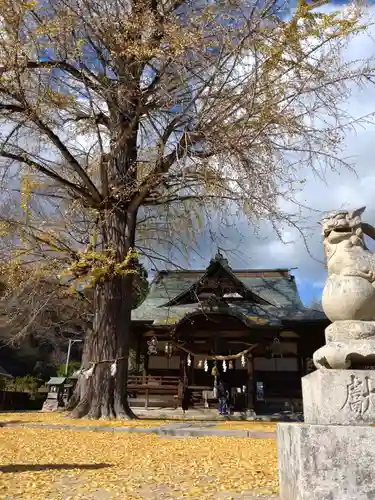 賀羅加波神社の本殿・本堂