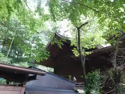 武州白子熊野神社(埼玉県)