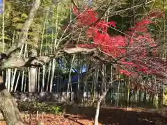 三芳野神社の自然