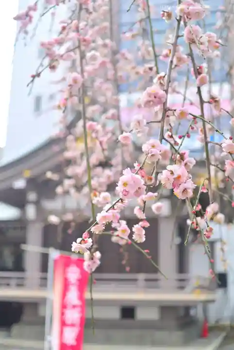 柏神社(千葉県)