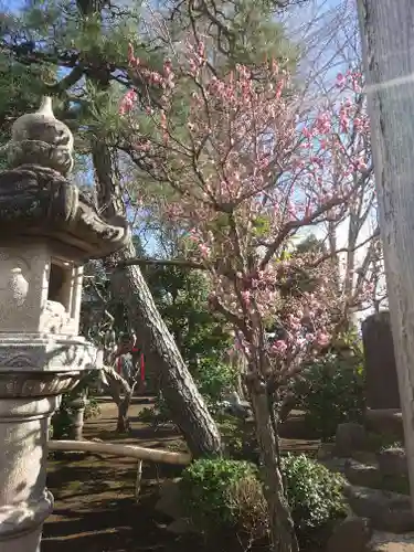 長松寺(神奈川県)