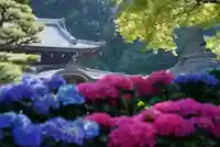 三室戸寺の自然