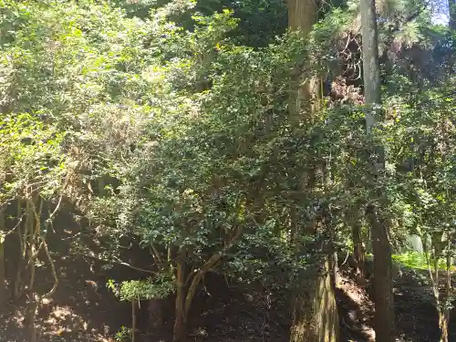延暦寺 椿堂(滋賀県)