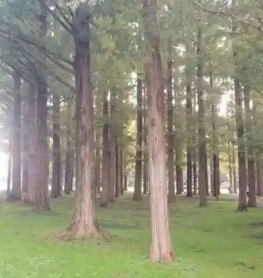 香取神社(東京都)