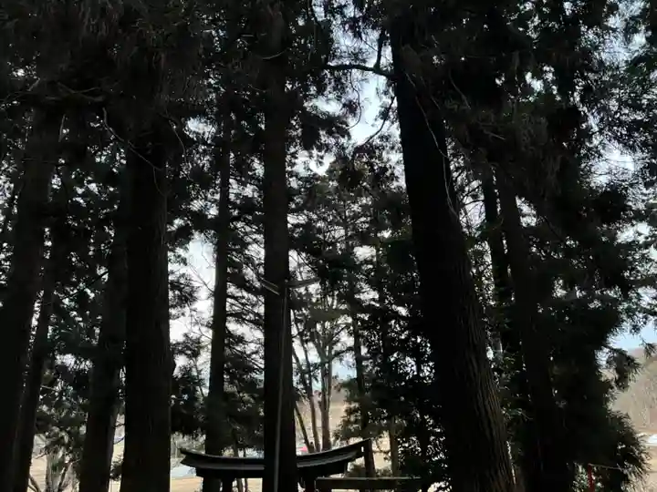 大宮温泉神社(栃木県)