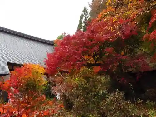 栖雲寺の建物その他