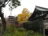 本土寺のその他建物