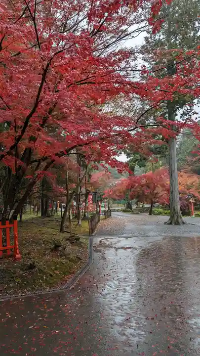 大原野神社(京都府)