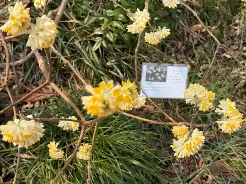 高麗神社(埼玉県)