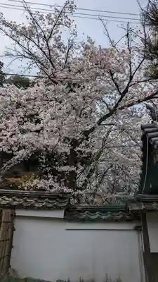 喜運院(京都府)