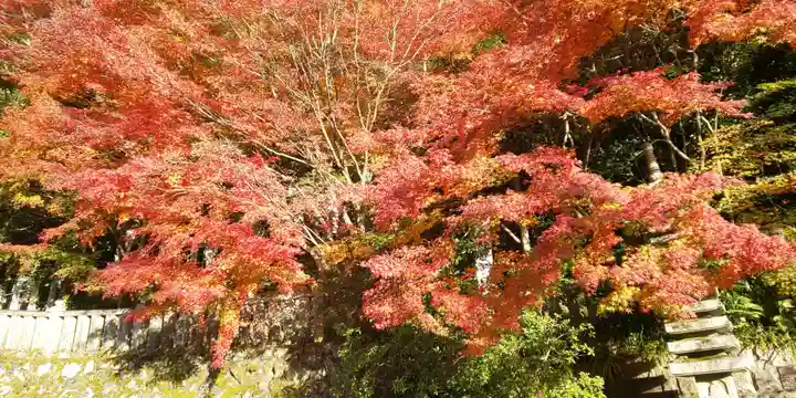 犬山寂光院の自然