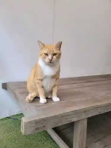 縣主神社(岡山県)