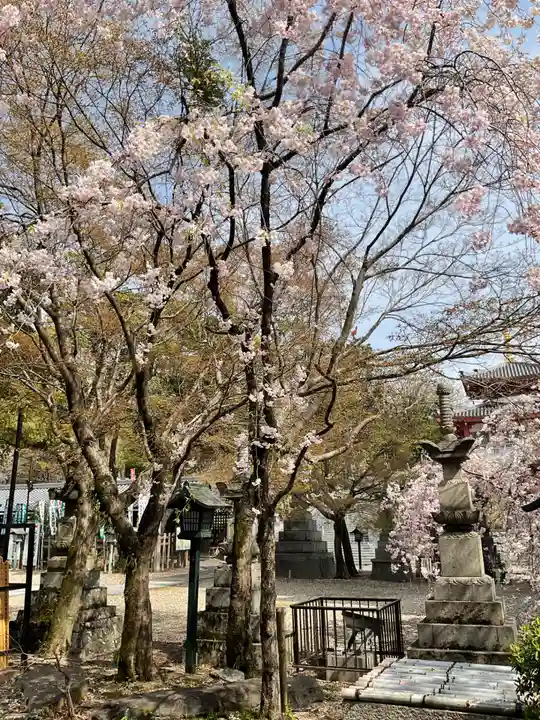 八事山 興正寺(愛知県)