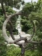 清水観音堂(東京都)