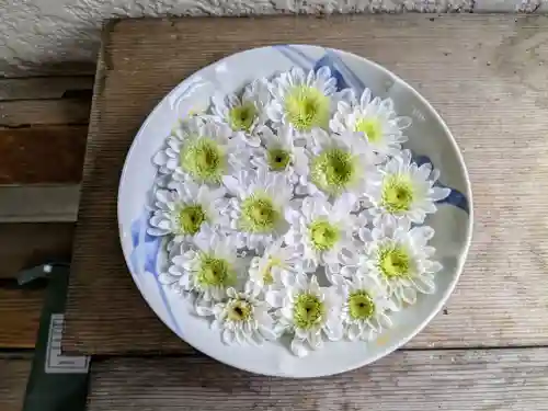 彌彦神社　(伊夜日子神社)の芸術