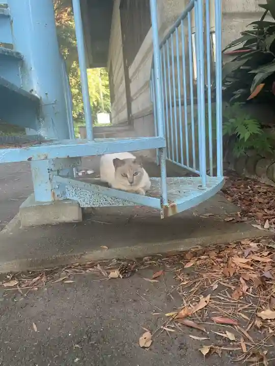 諸口神社(静岡県)