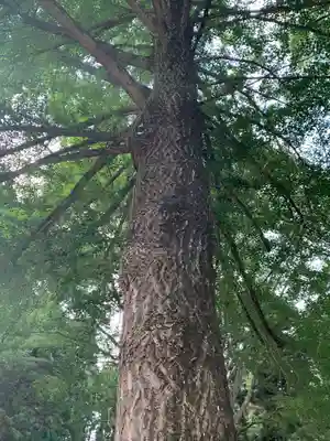 徳蔵寺(茨城県)