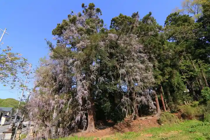 春日神社の庭園